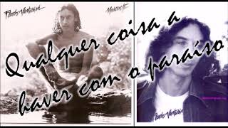 QUALQUER COISA A HAVER COM O PARAÍSO - FLÁVIO VENTURINI