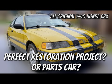 Y 49 Honda CRX Restoration
