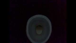 preview picture of video 'Taiping Lake Gardens,Sitting Toilet In Floor With High Cistern'