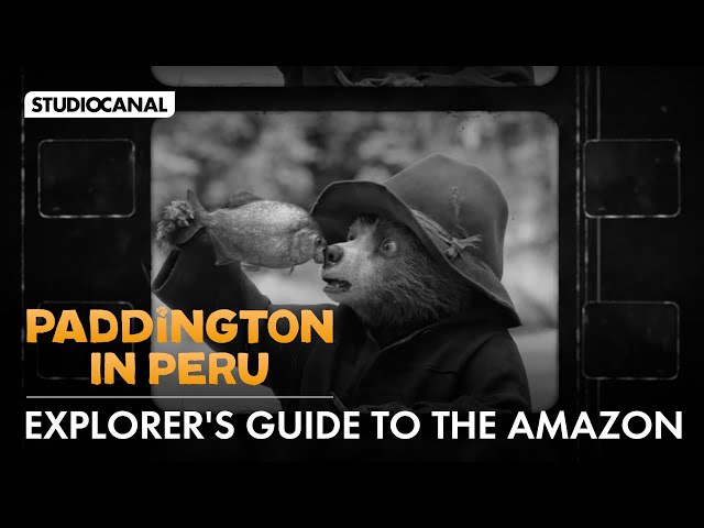 An Explorer's Guide to the Amazon Jungle