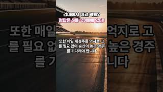 경마에서 이길 확률? "정답은 5배~ 20배에 있다!"