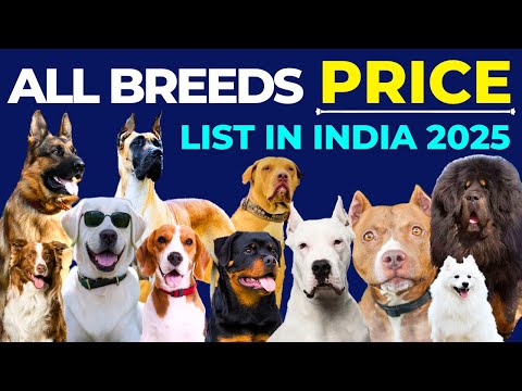 All Dog Breeds and Their Price List 2025 | German Shepherd, Labrador, Rottweiler