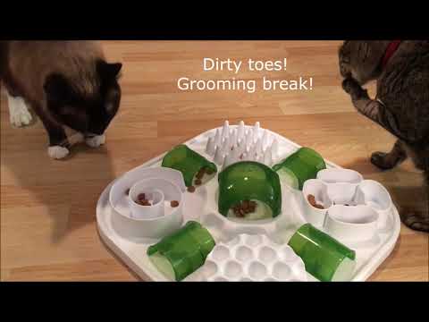 The Catit Play stationary foraging board