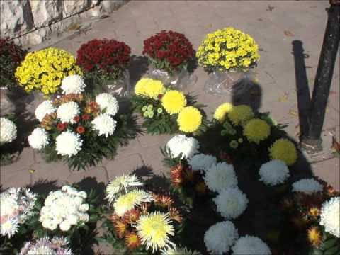 Čarobna Jesen  - Vokalni Kvartet Predraga Ivanovića