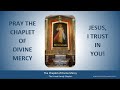 Pray the Chaplet of Divine Mercy