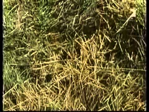 MÚZEUM ŽIVOTA - Poklad na Myšej hôrke (3/3)