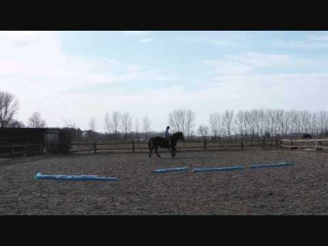 Carmen Reiten 23 03 2011