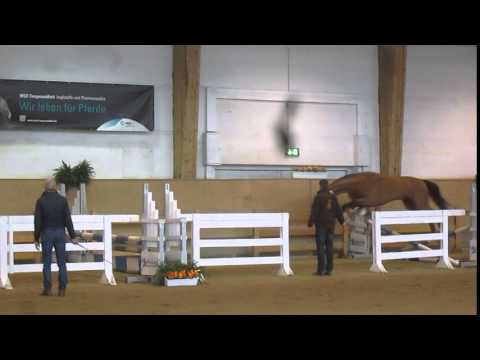 Caipirinha by Cash and Carry - Lord Z, *2013, licensing Munich, Feb16