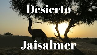 preview picture of video 'Desierto Jaisalmer - India #5'