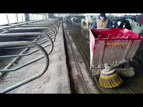 Bobman bedding DCC Waterbeds