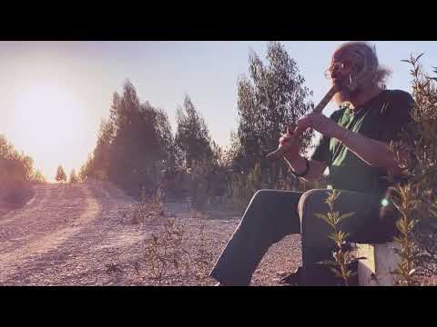 Livre na Montanha Sagrada ~ Hinário Leo Artese ~ Flauta Shakuhachi