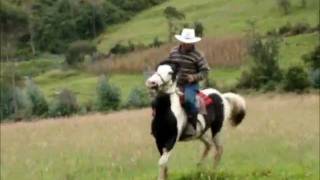 Cuatro Caballos-Bronco