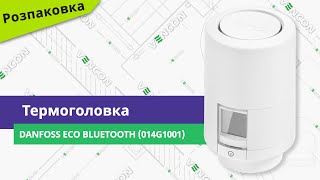 Danfoss Eco Bluetooth (014G1001) - відео 2