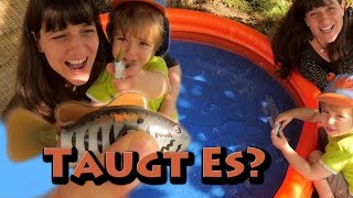 Roboterfisch (Robo Fish von Goliath) | Taugt es oder taugt es nicht?