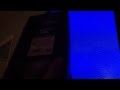 Opening To The Lorax 1997 VHS