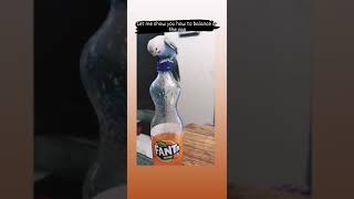 Budgie balancing on the bottle  . . #budgies #parakeets #birds #flightfiles