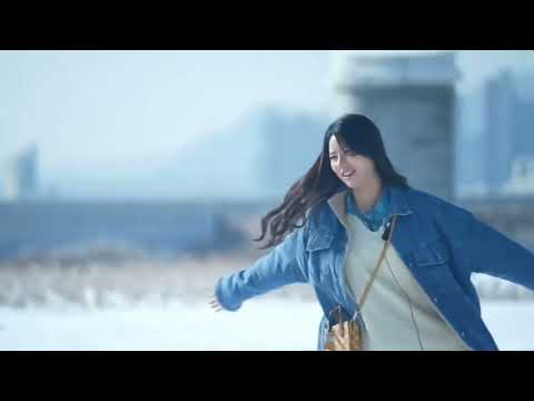 비디오 16