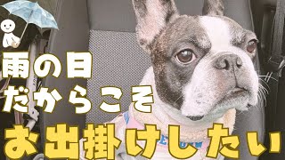 ☔️雨だけど強引にお出掛けしてみた🚗💨