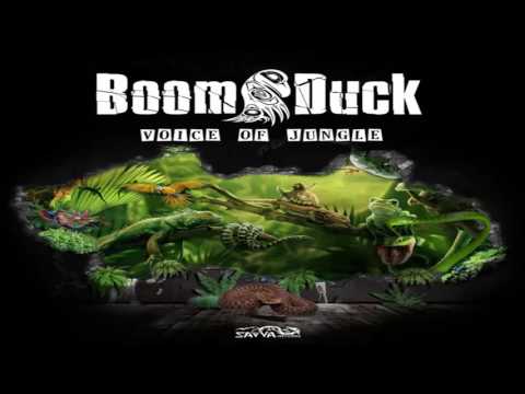 BOOM DUCK - The Voice Of Future (Original Mix)