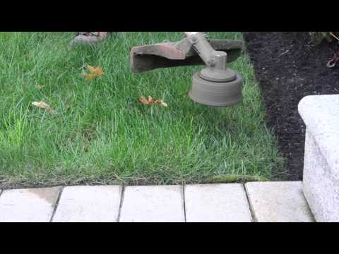 321Garden Quick Tip: Edging Your Lawn!
