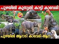 മലപ്പുറം ടൗണിനെ ഇളക്കിമറിച്ച കാവേരി�