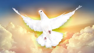 Who Is the Holy Spirit?