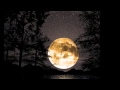 HARVEST MOON performed by Cassandra Wilson