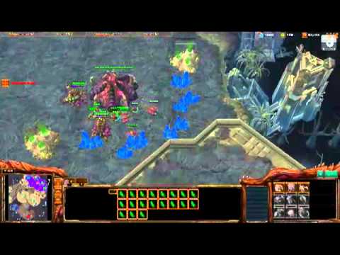 Starcraft 2 ZZvPT 1