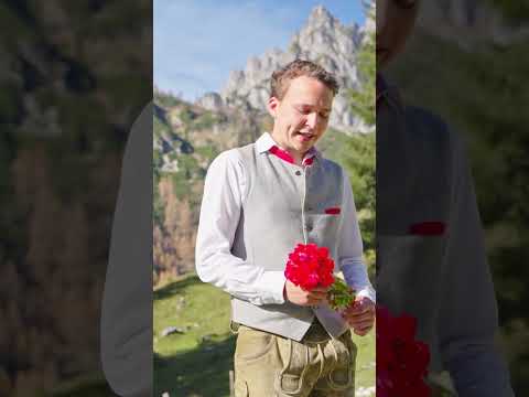 👆👆 Kennst du das neue Video vom BERGWELTSCHWUNG schon? #volksmusik #akkordeon #oberkrainer