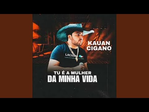 Foi Você Que Quis Assim