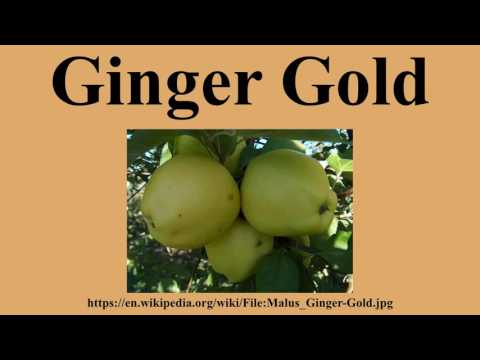 download lagu mp3 mp4 Are Ginger Gold Apples Good For Cooking, download lagu Are Ginger Gold Apples Good For Cooking gratis, unduh video klip Are Ginger Gold Apples Good For Cooking