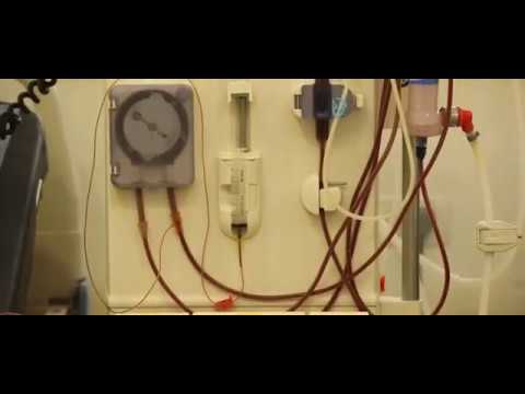 download lagu mp3 mp4 Free Dialysis Centre In Andheri, download lagu Free Dialysis Centre In Andheri gratis, unduh video klip Free Dialysis Centre In Andheri