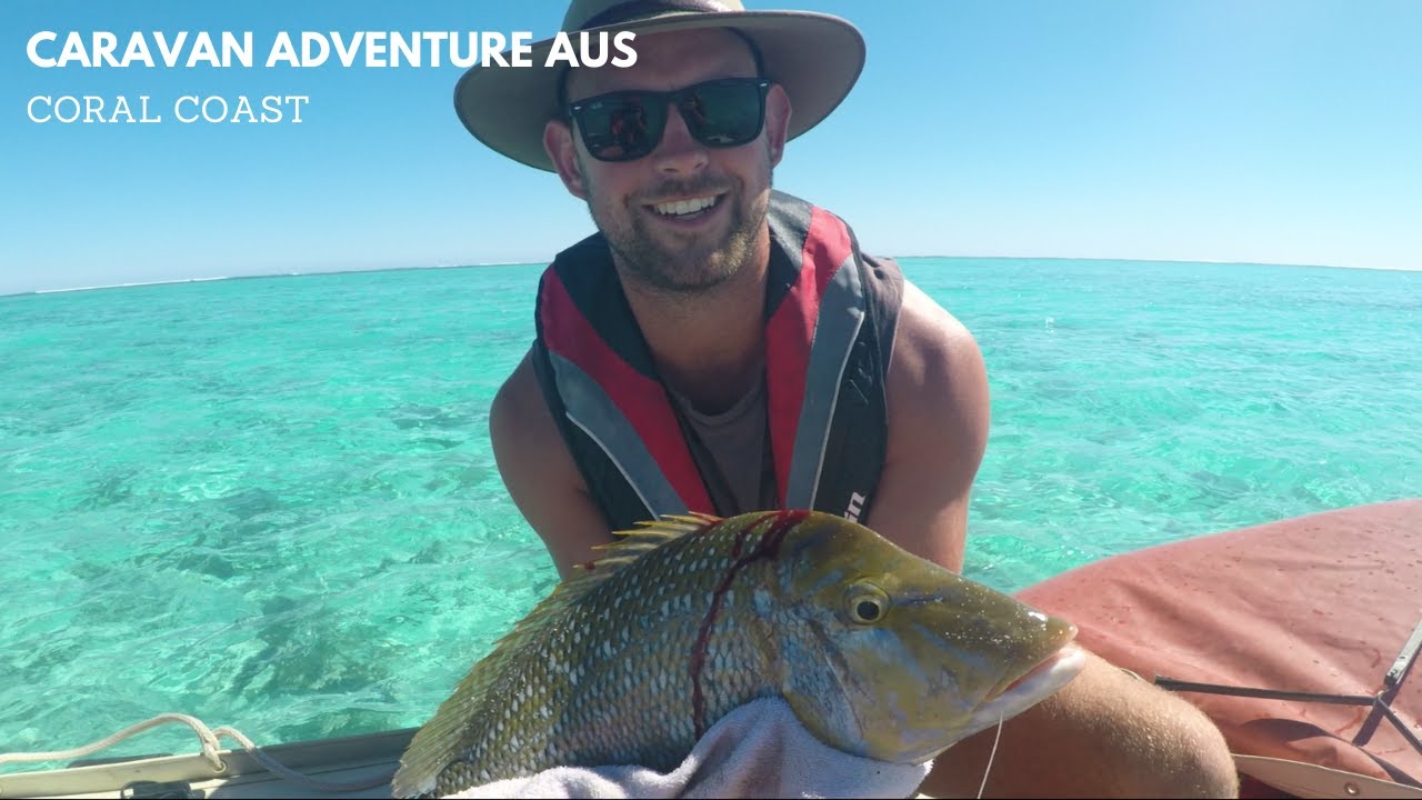 🏕️ First time Camping in Ningaloo? Don’t stress – I’ve got you covered! 🌊