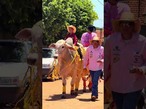 Cavalgada SÃO JOSÉ DO POVO-MT#cavalgada #quartodemilha #teamroping #rodeo #montariasemtouros