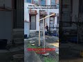 Xiphos Vs Katana