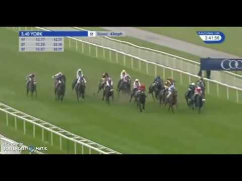 Mecca's Angel, York 2016