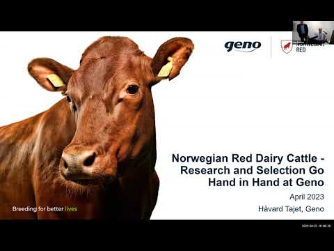 , title : 'Håvard Tajet: Norwegian Red Dairy Cattle – Research and selection go hand in hand at Geno'