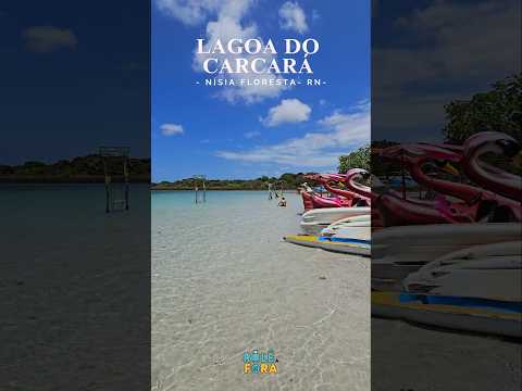 📍LAGOA DO CARCARÁ - NÍSIA FLORESTA- RIO GRANDE DO NORTE  #SUBSCRIBE #NORDESTE #BRASIL #NATAL
