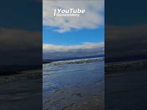 Kayak en pleno Nacimiento del Rio Bueno #lagoranco #kayak #regiondelosrios