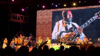 Jimmy Buffett - Last Man Standing