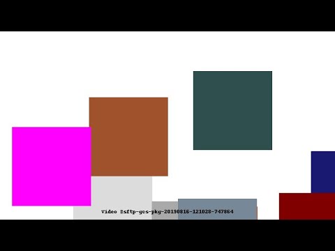 Video #sftp-gcs-pkg-20190816-121028-747864
