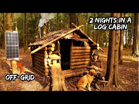 2 Nights In A Off-Grid Log Cabin built with hand tools | Bushcraft Shelter | Woodstove | Deer Hides