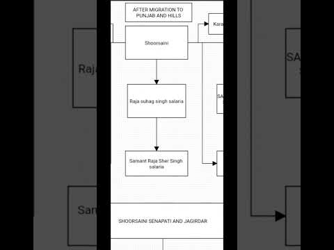 shoorsaini before migration and after migration