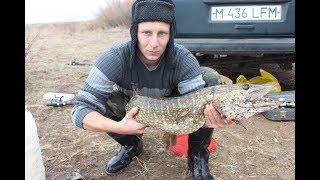 Ссылка