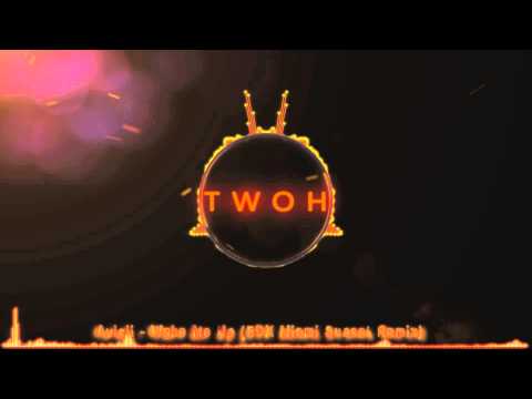 Avicii - Wake Me Up (EDX Miami Sunset Remix)