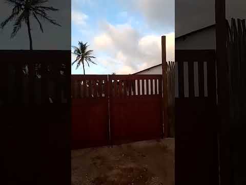 Passeando em moitas amontada ceará Brasil 