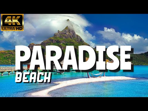 Paradise Beach in 4k By Drone - Amazing view of paradise beach in 2023 - Must Watch
