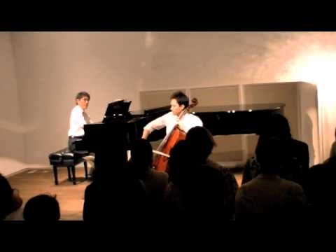 Nausicaä of the Valley of the Wind (arrangement for cello and piano)