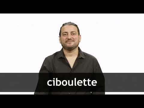 How to pronounce CIBOULETTE in French