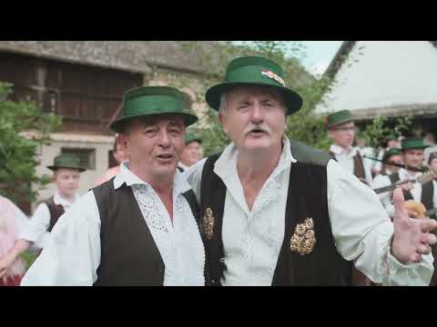 ŠIMA JOVANOVAC I DARKO ERGOTIĆ - ŠOKADIJO MOJA RAVNA (OFFICIAL VIDEO)